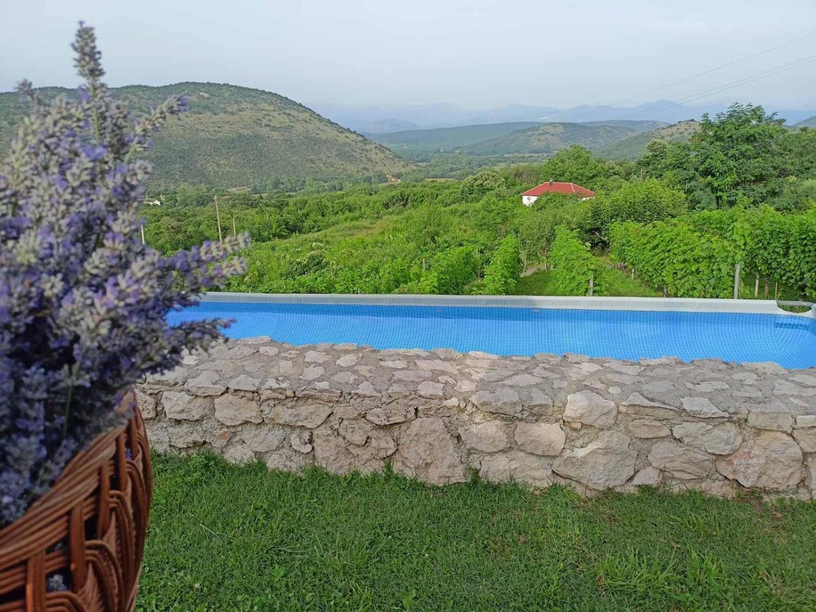 Green Silence - Iva Danilovgrad Exterior photo